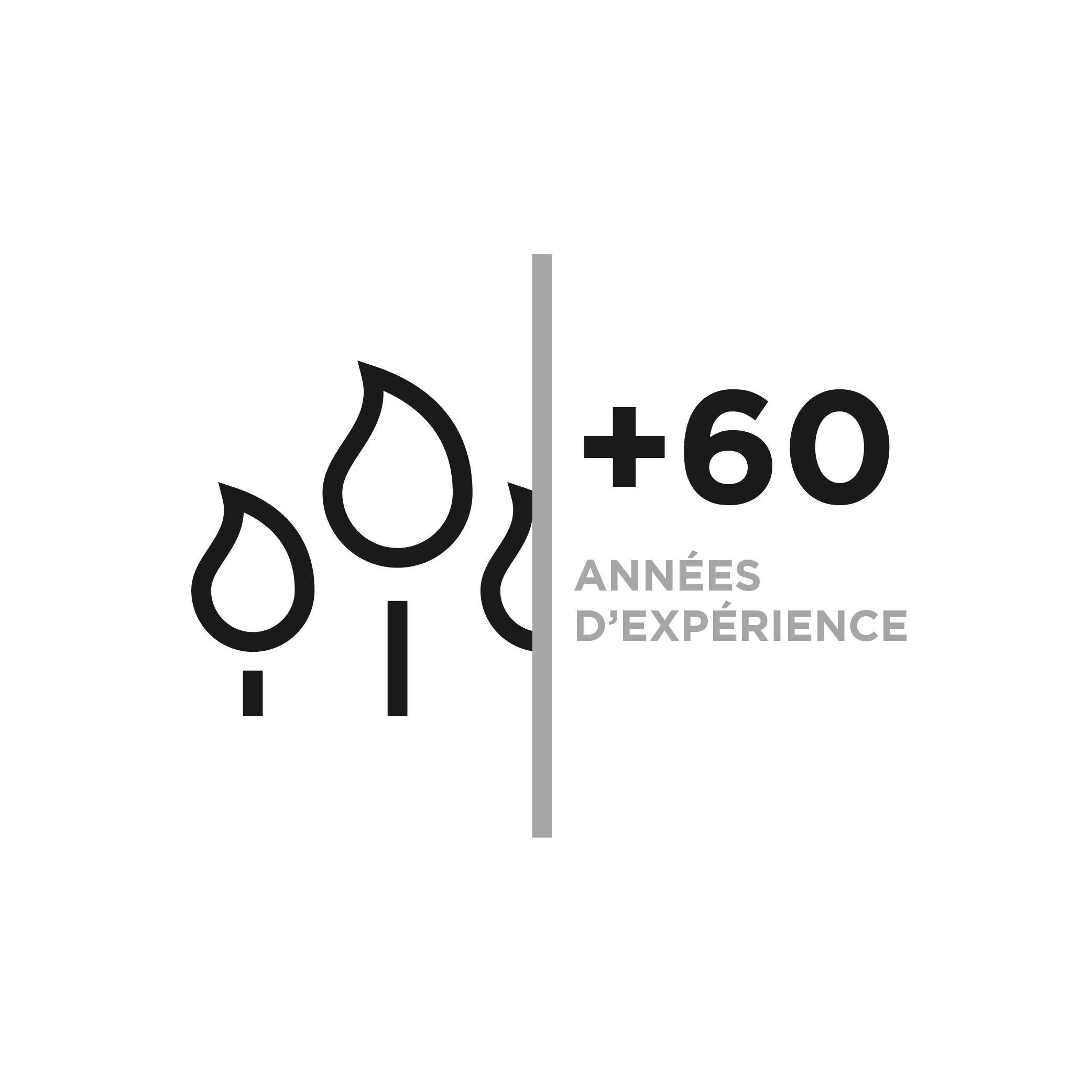 epxerience