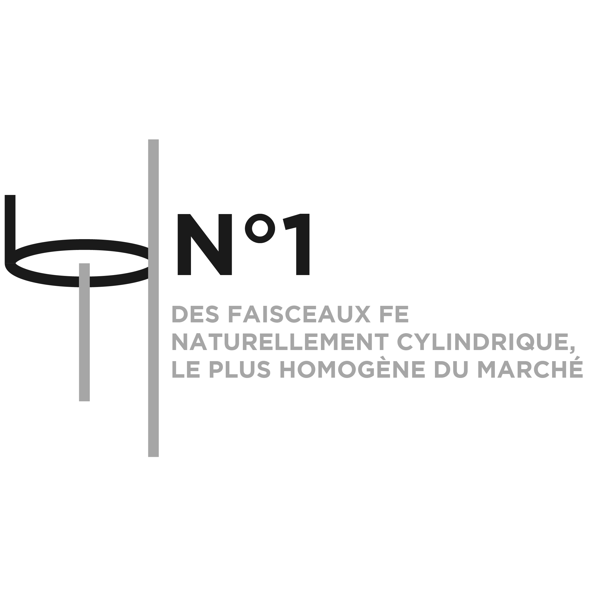 n1